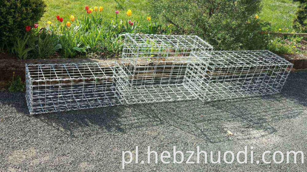Stone Cage